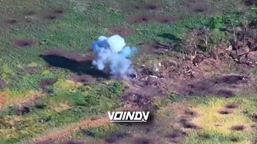 ��������� �������� � ������� ����� ����������������� �������� FPV-�������