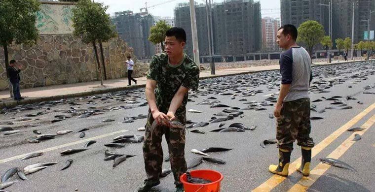 17 ���� 1940 �� ����� ������� �� ������� ������ � ����������� ������� ��������� ����� �� ����� XVI-XVII ��. ���� ������ ����