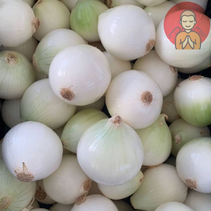 ������ ��������� ����. ������� �������� ��������� ���� � ���������. ��� �������� ����� �� ��������� ������ �������� ����� ������ �������� � ������