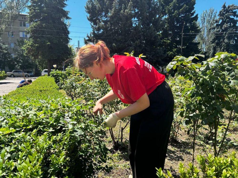 ������� ������������� ������������ ���������� ��������� ����������