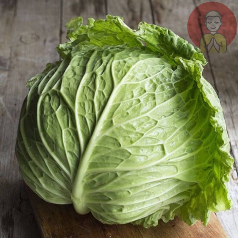 ������ ������������ �������