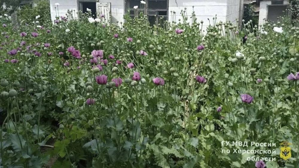 � ���������� ������� ��������������� ���������� ��������� ���� � ������ �������������� ������