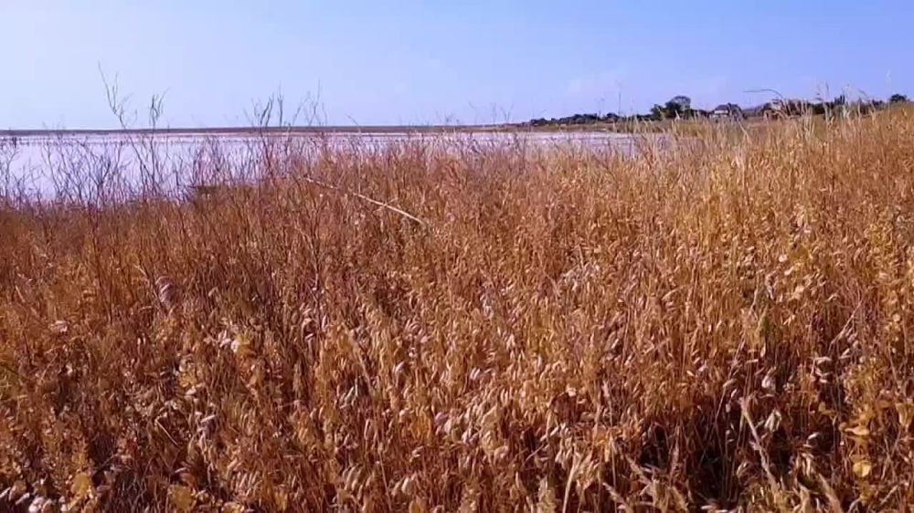 ������� ����� � ���� �� ����� ��������� ���� ���������� � ���������� �������