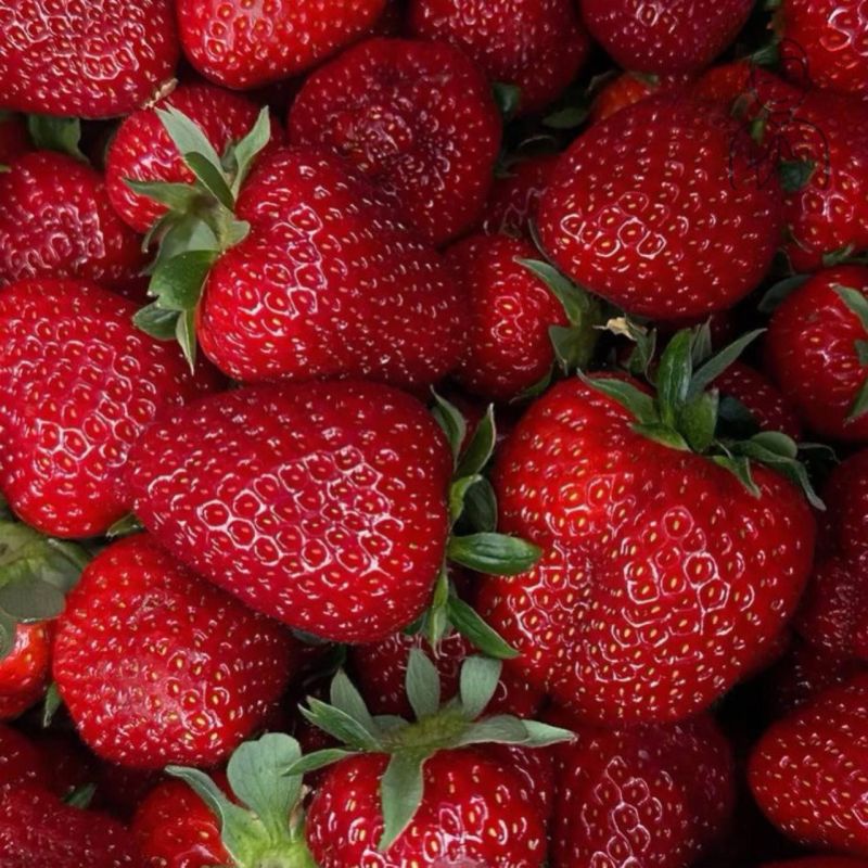 ������ ��������. �������� �������� ������� �. ���� ������������� ��� ������, ������� �� ���������� ���������� � �������� �������� �� �������� ��������-���������� ���������, ������� 2 ���� � ��������� �������������� ���������