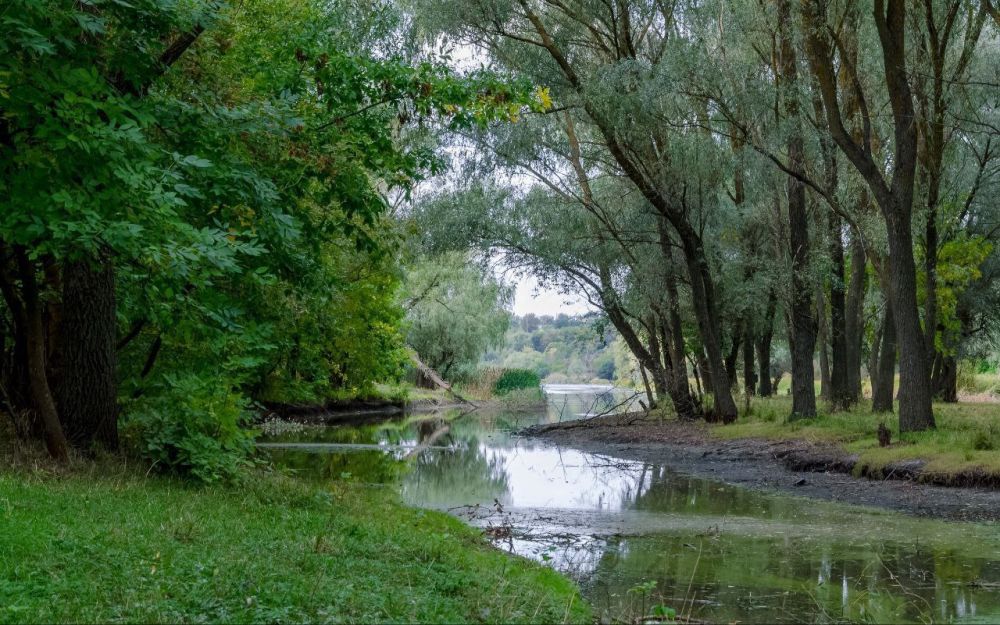 �� ��������� ������������ ����������� �� ������ ���� ������ ���������� �������