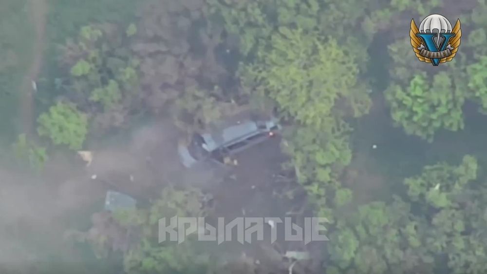 ���������� �����������, ������ ����� ������