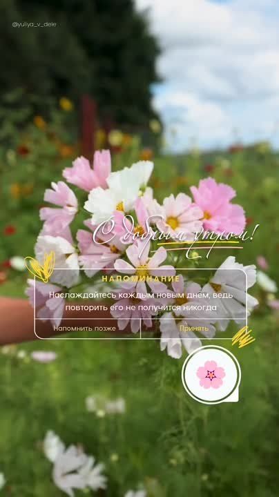 ������ ����. ������� ���� � ������� ����� �����������, � �� ����� ��� ���� ����� ���������� �����. ��� �������. ����������� �� +20 ����� �� +31 ���