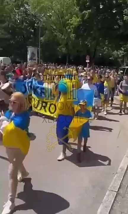 � ������� ����� ���������� ������ ��������-�������� ���������� ������� ���������� �����������