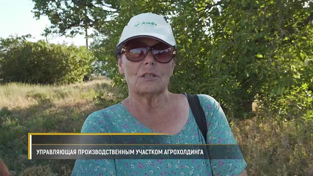 � ���� ������ ���������� ���������� ����� �������