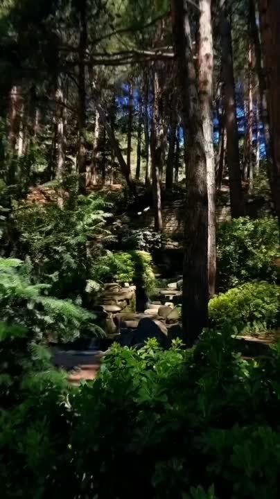 ���� "�����������" ��� ������� - ���� �� ����� ���������� ���� �� �������� �����������