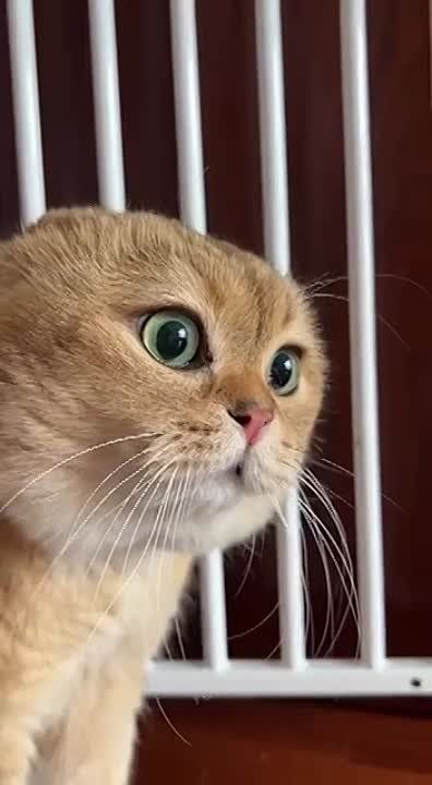 ���������� ���� � ������