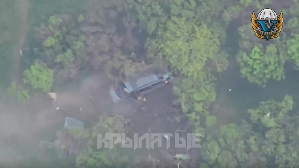 ���������� �����������, ������ ����� ������