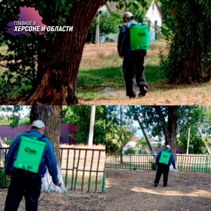 ���������� ������������ ���� �������� ���������� ������� � ������� �� ����� ����������