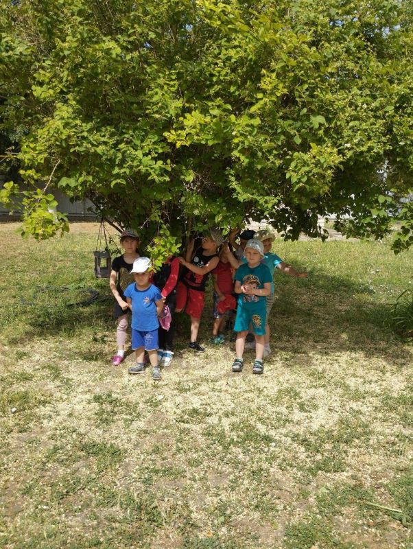 ������ ����������� ���� ����������� � �����