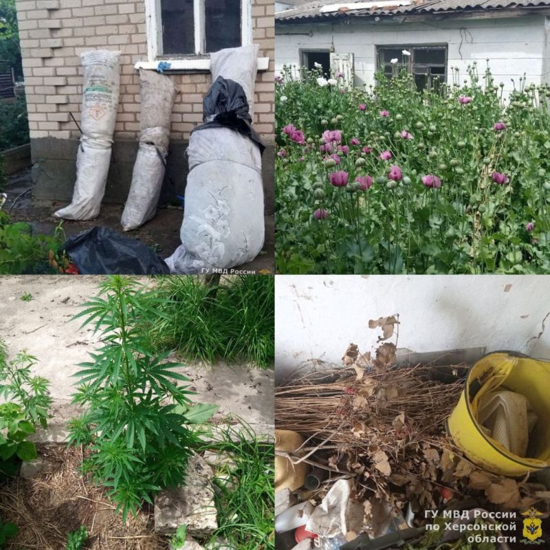 ����� 100 ������ ������� � 2,5 ������ ������ ���� ������ � ������ �������������� ������