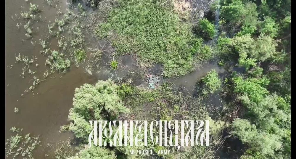 ���������� �����������. ��������� ����� �������� �������� ����� ����������, �� ���� ����� ����� ��