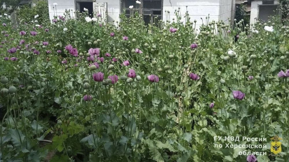 � ���������� ������� ��������������� ���������� �������������� � ������ �������������� ������