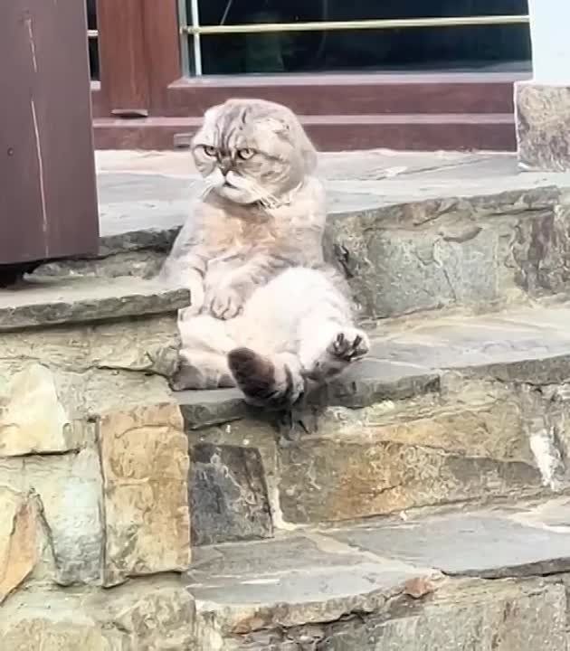 ���, �����, ����� � ������