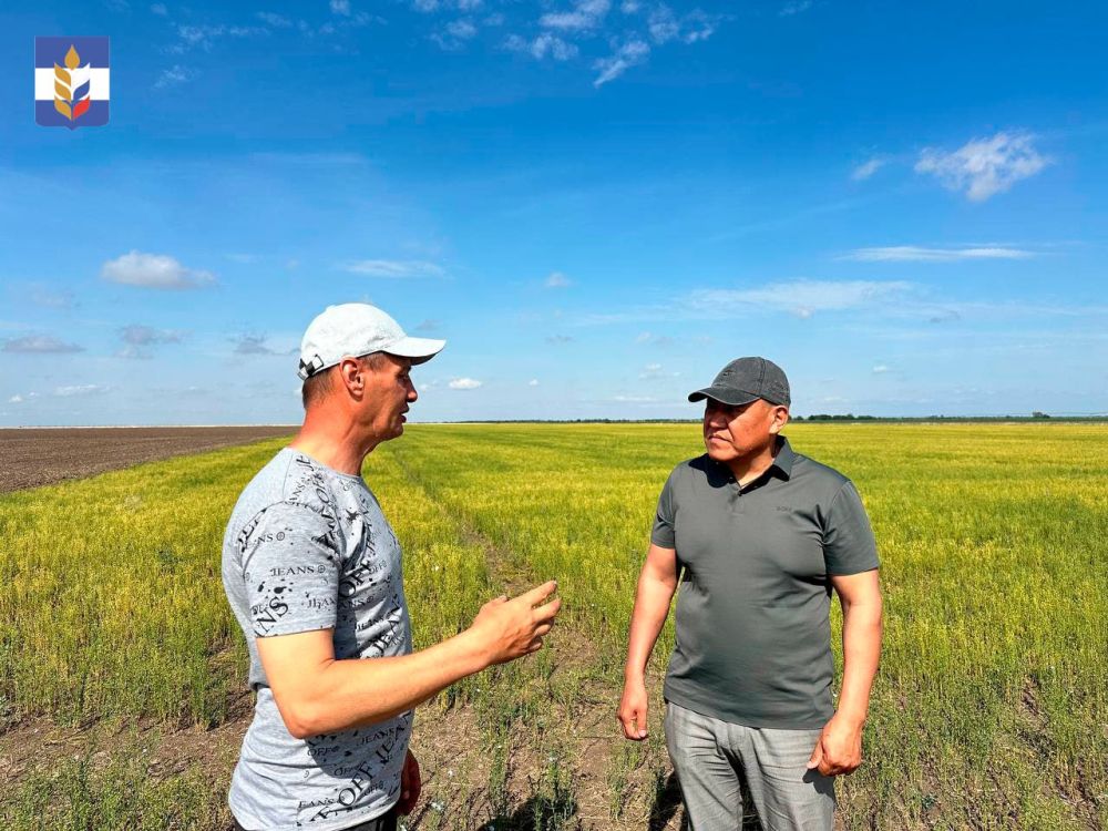 � ���������� ������� �������� ������ ������ �������� � ������������ �������