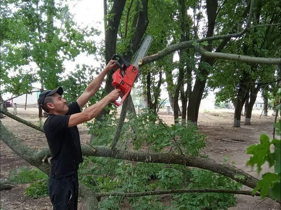 ����� ����, ������� ����� ��������� ��� �����������