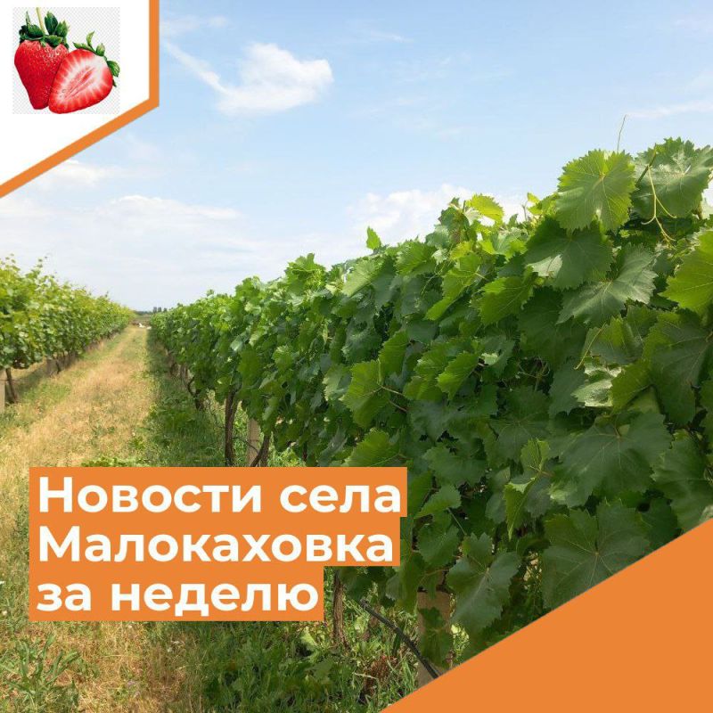 ������� ���� ����������� �� ������ � 10 �� 16 ����