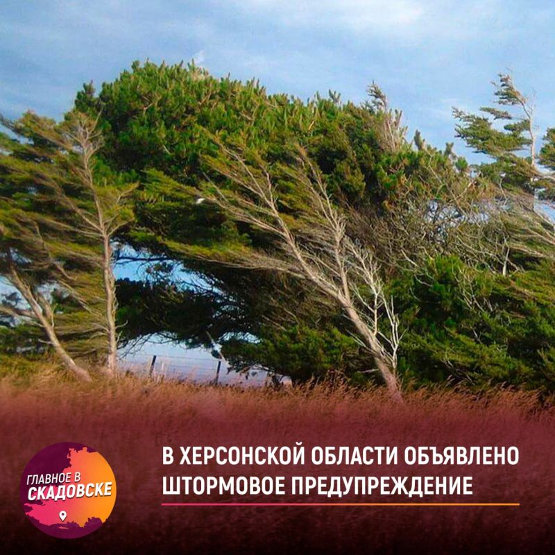 � ���������� ������� ��������� ��������� ��������������