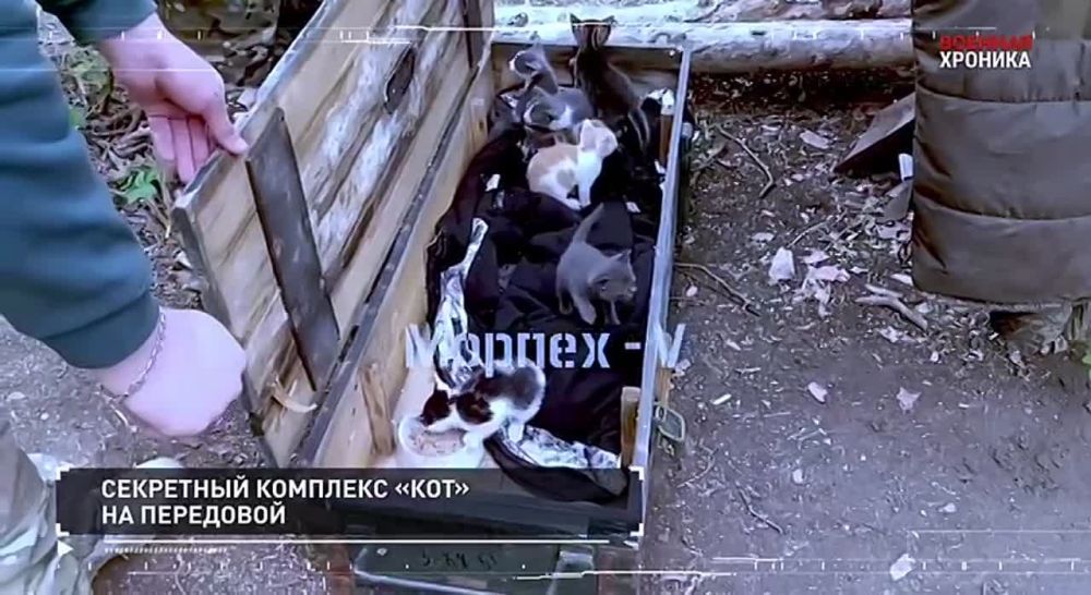 ����� �������� ��������� 18 ����