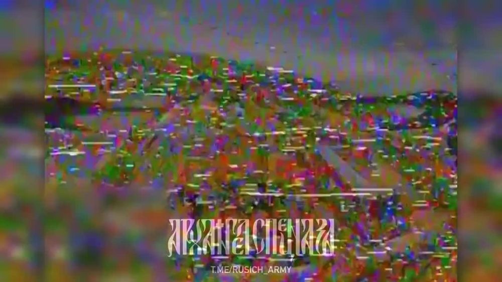 ���������� �����������: