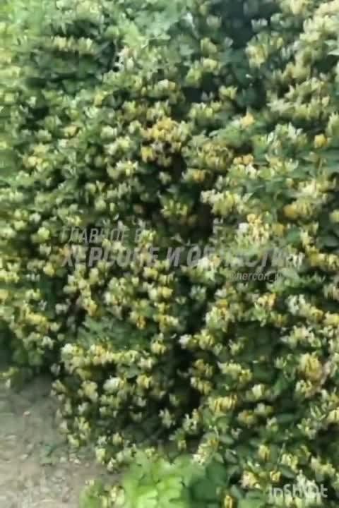 ��������� ���� �� ���� ������� � ���������� ���������� �������� � ���� ��������� ������� ����