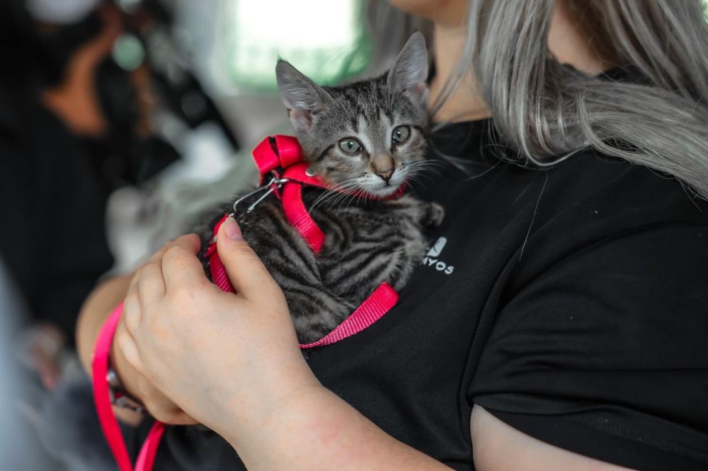 � ����� �������� ���� �����, �������� ��� ������� � ���������� �������