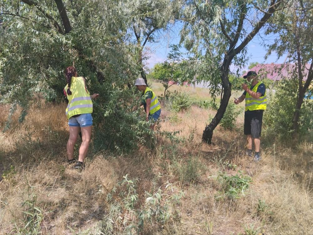 � ����� �������������� ���������� ������ ��������������� ����������