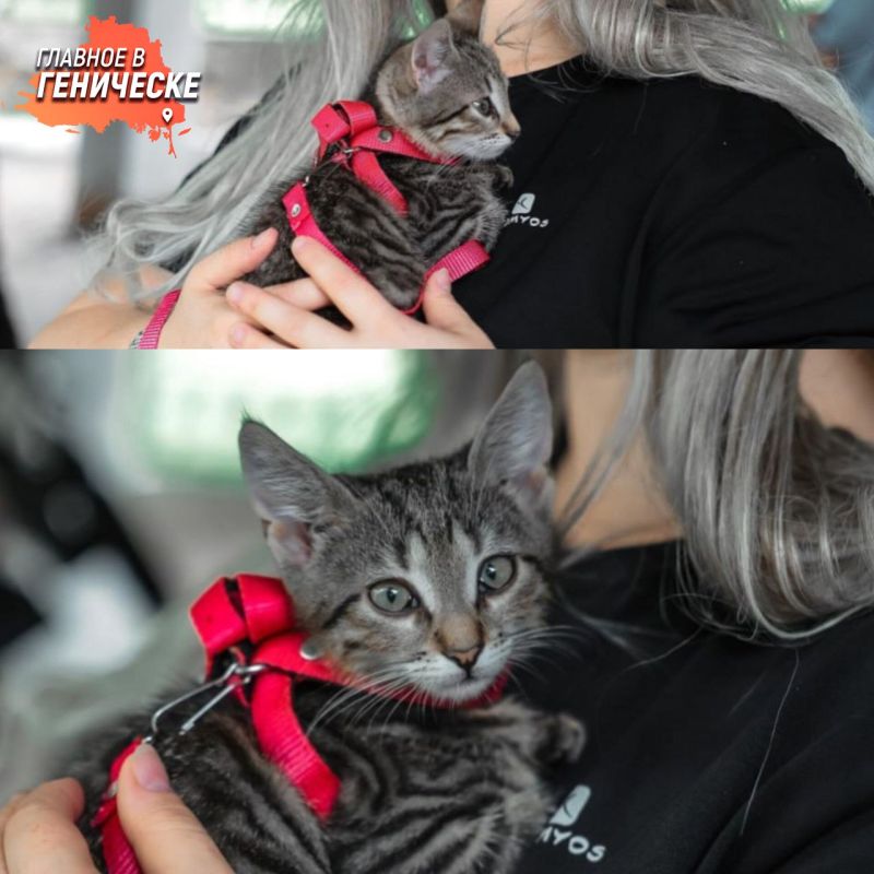 ��������� �� ����� ������� � ����� ���� ����� �� ���������� ������� � ��������� ���� �������� ����� ���������� �������