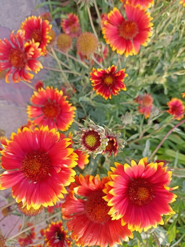 � ������ �����, �����������!