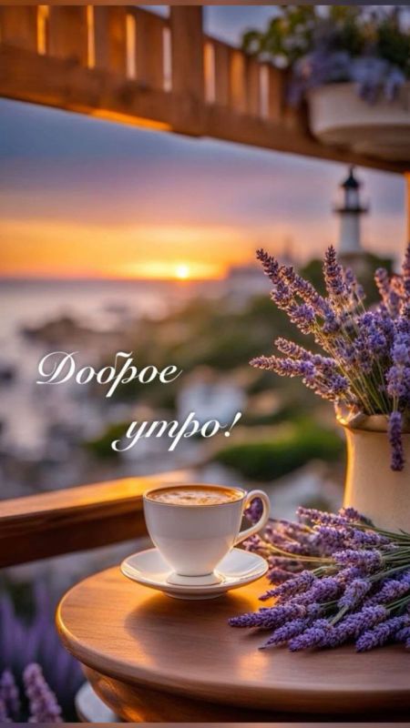 ������ ����. ������� ���� ���� ���� � ������� ����� �����, � ���� �� ������� ��� ����� ������������. ��� �������. ����������� �� +20 ����� �� +32 ���