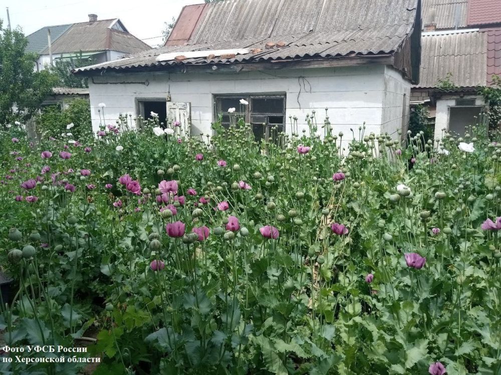 ���� ������ �� ���������� ������� ��������� � �� ��� ������ �� ���������� ������� ��������� ������������ ���������� ��, ������ �������������� ������, ����������� � ����������� ������� ������������� �������