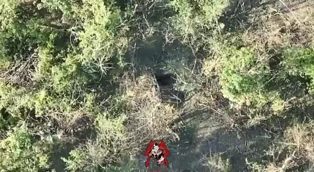 ��������� FPV-������ �������� �� ������� ������� ��� � ��������