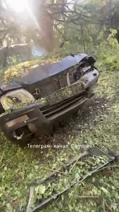 ����������� ������� �� ������ ���������� ���������� fpv-������