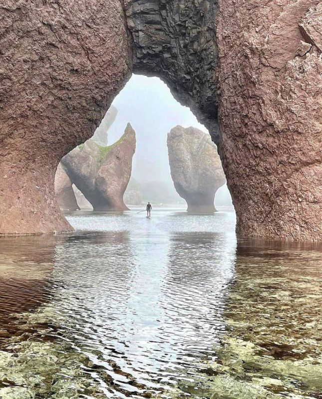 ���������� ��������� �������