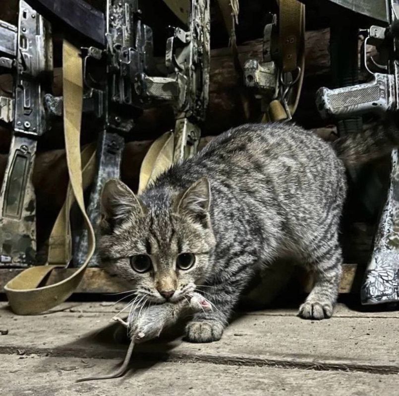 � �������� ����� ������ �� ������ ���� ���� ���� ������ ������