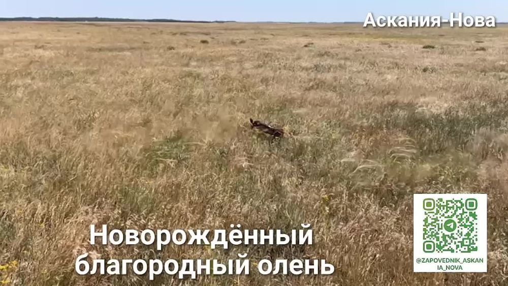 � ���������� ����������� ��������-���� ������� ����������� �����