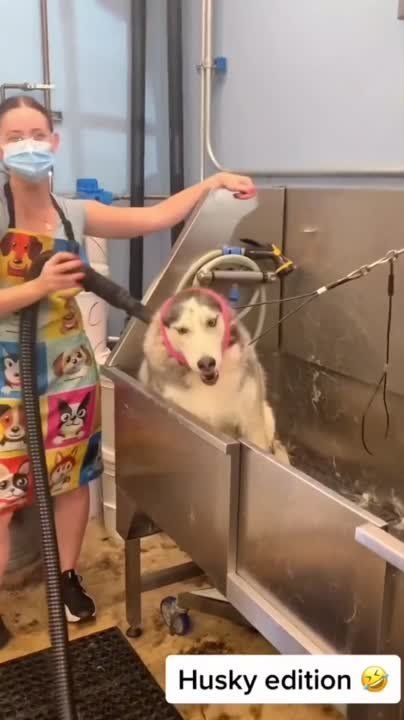 ������ ����!. ��������-����� ���������� �������