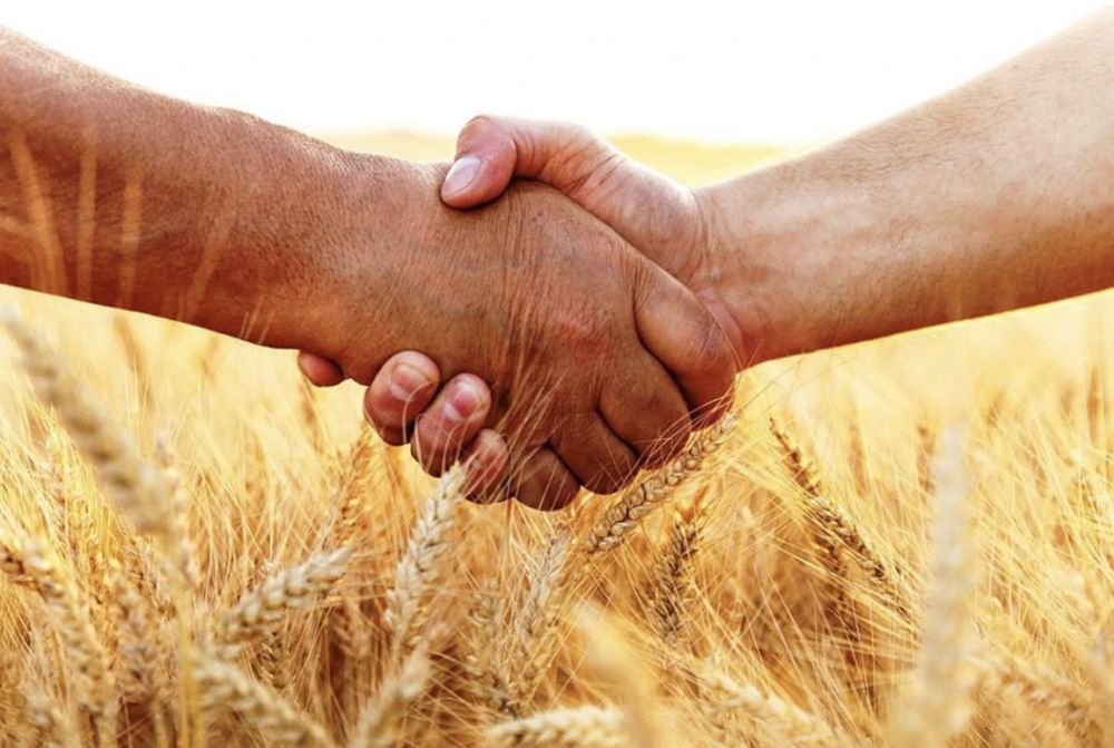 ����� ��������: �������� ������������������� � ���������� �������