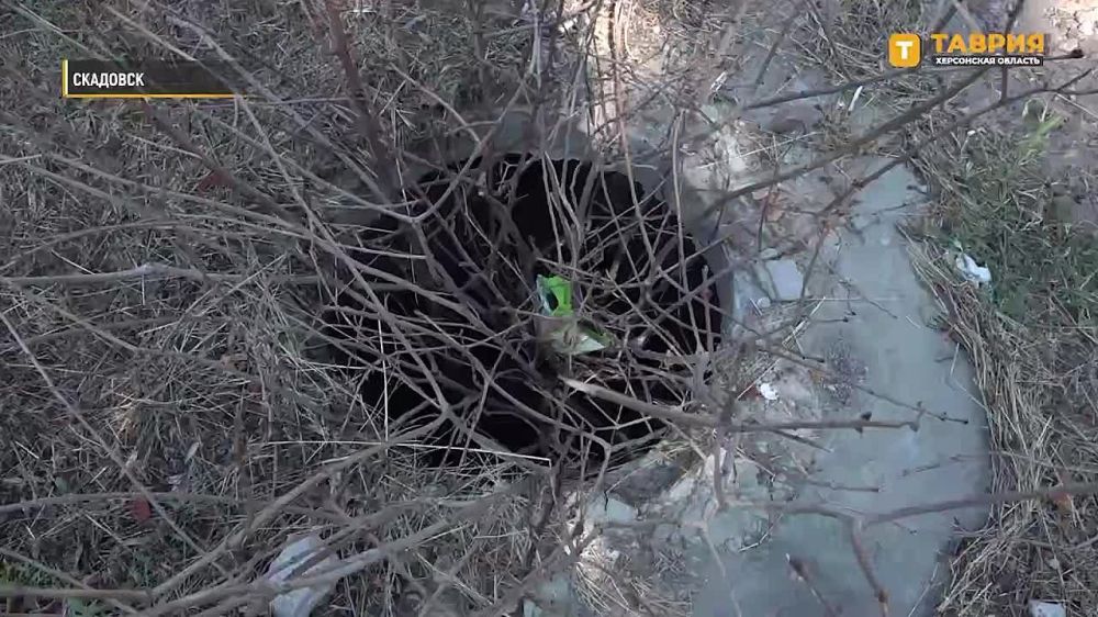 � ��������� � �������� ��� ���������� ������������ �������