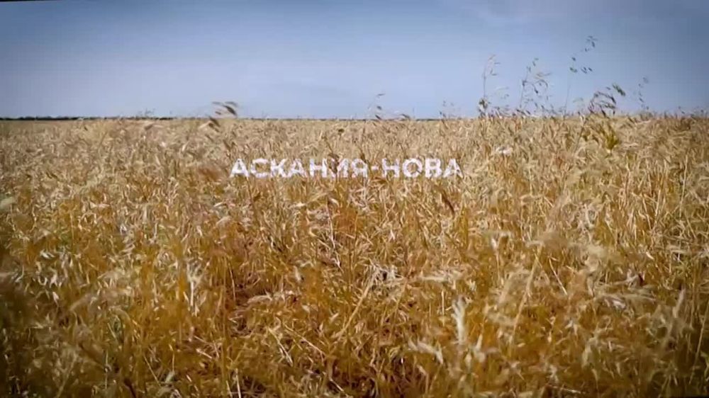 �������� ������: ���������� ���������� "�������-����" � ��������� ���������� �������