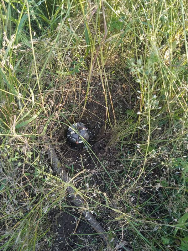 ��� ������: ���������� �����������. ��� �����: