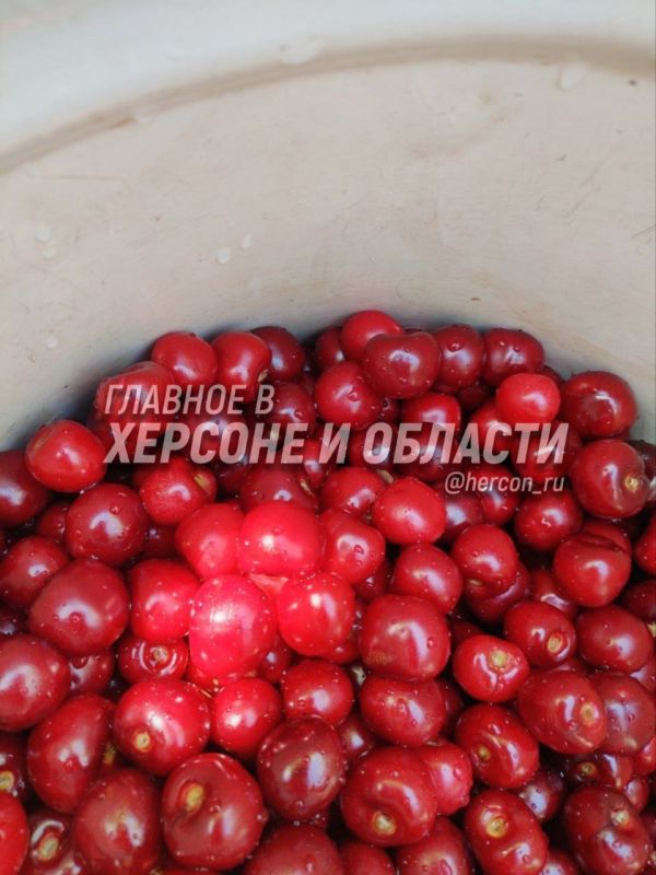 ����� � ������ �����, ������� ��������� � ���������� �������, ��� � ������� ������