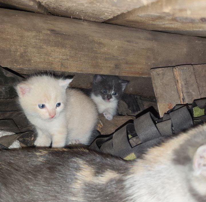 ��� ������� ������ �� �������, ��� ���������� � ����� ��������