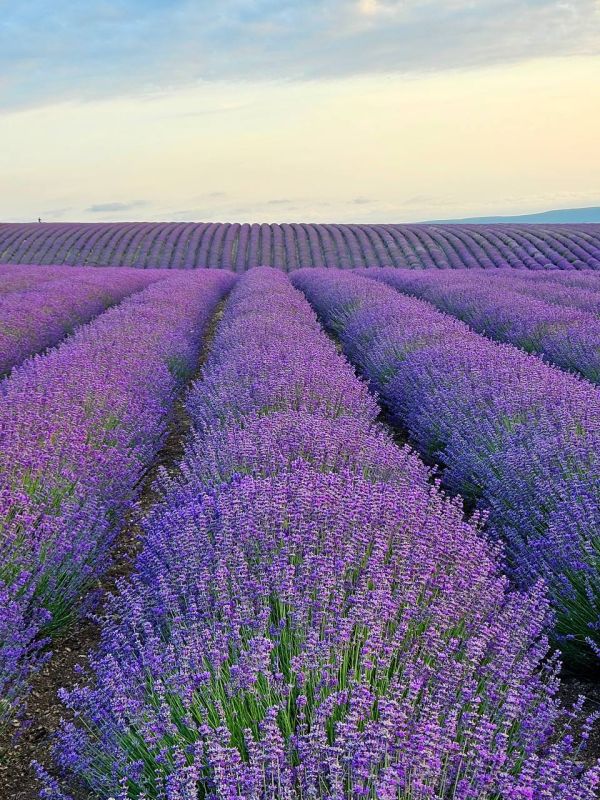 ���������� ����. ��� ������� �������� ���������� �� ���������� ����. ��������� ����������