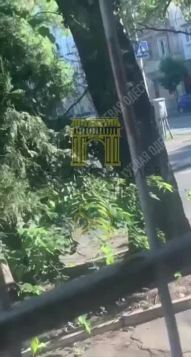 � ������ �������� � ������ ����������, ������� ������� ����� ��������� �� ������ ����������� ���, ����� ������� �������