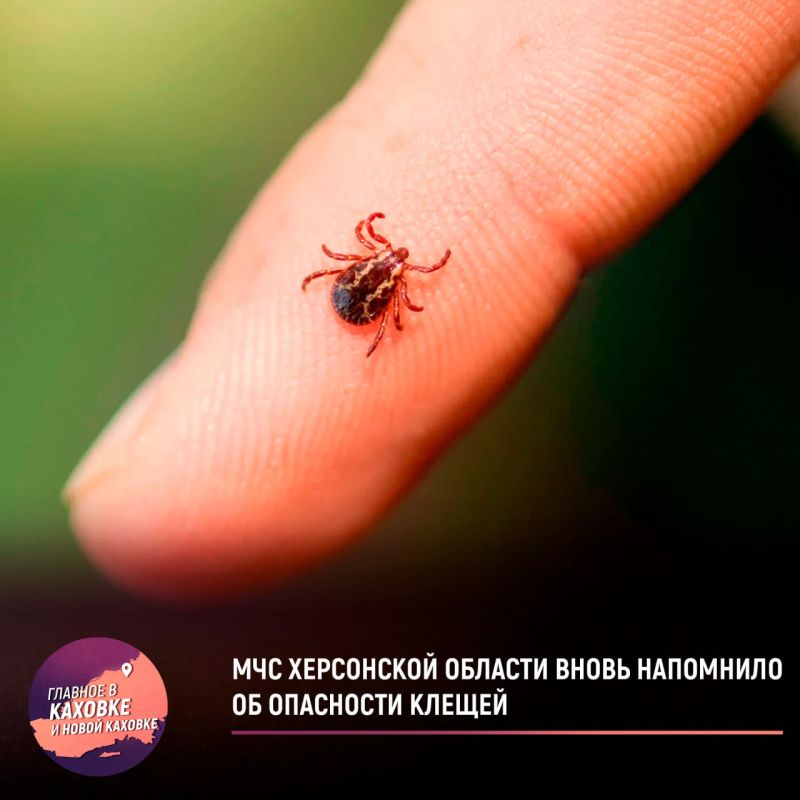 ��� ���������� ������� ����� ��������� �� ��������� ������